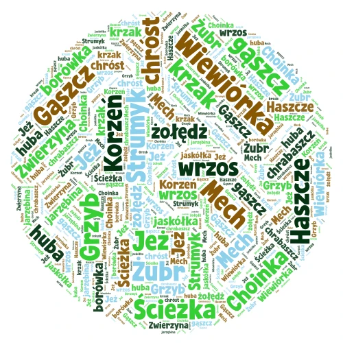 chmura wyrazowa z wyrazami z trudnością ortograficzną word cloud art