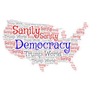 Sanity & Democracy word cloud art