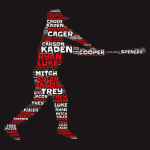 Baseball word cloud art