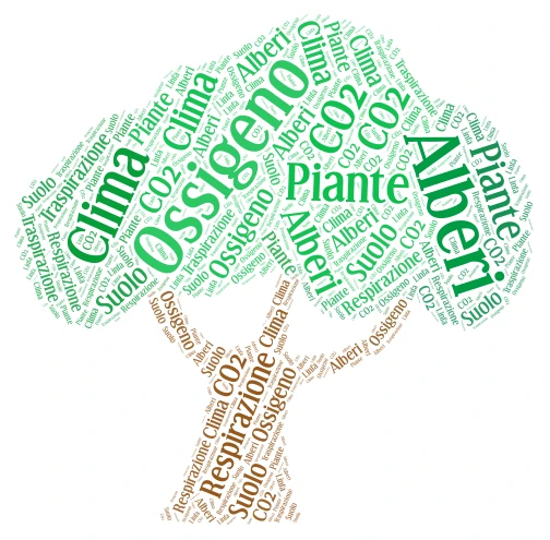 Piante word cloud art