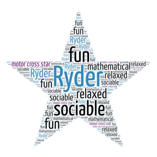 Ryder word cloud art