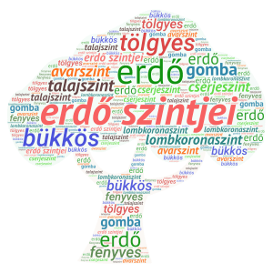 Erdő2 word cloud art