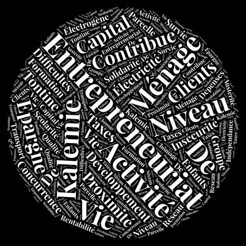 Nvivo word cloud art