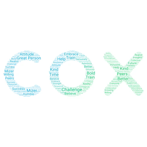 Mizer word cloud art