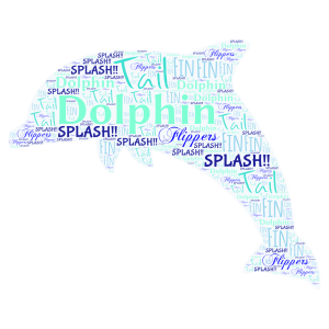 Dolphins word cloud art