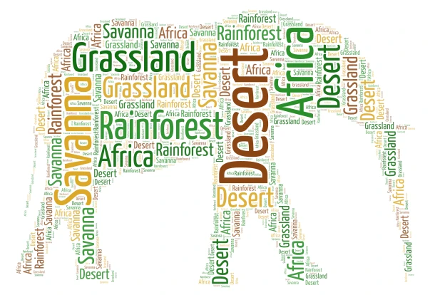 African Biomes word cloud art