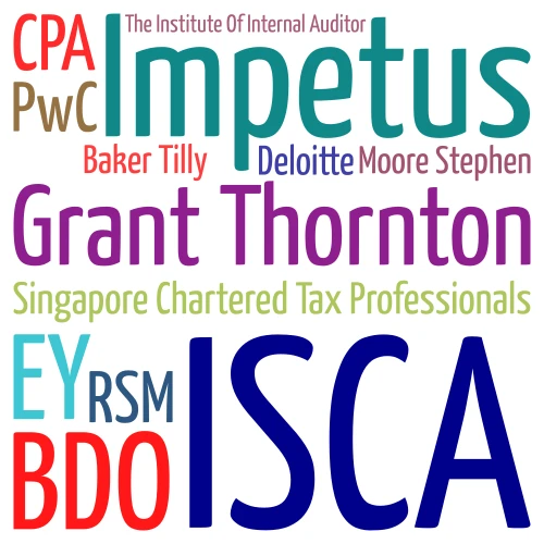 Corporate Accounting Network word cloud art