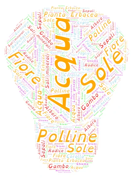 ciclo vitale della pianta word cloud art