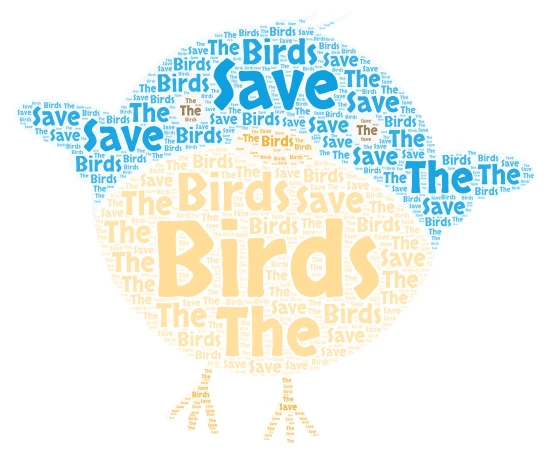 Save the birds! word cloud art