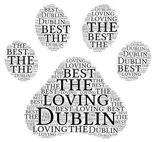 Dublin word cloud art