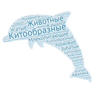 Дельфин word cloud art