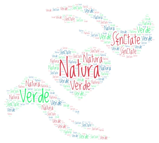 SDO eTwinning proiect word cloud art