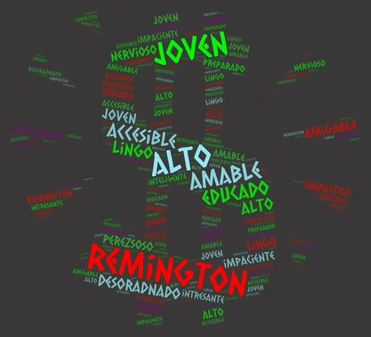 remi word piture word cloud art