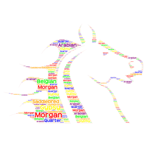 Types of horses word cloud art
