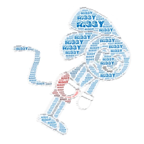 riggy word cloud art