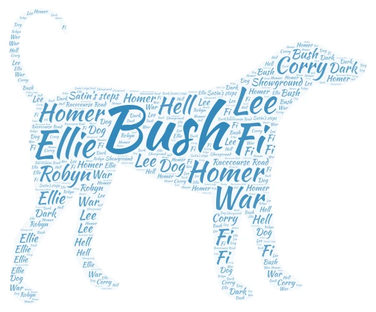 Tomorrow, When The War Began word cloud art