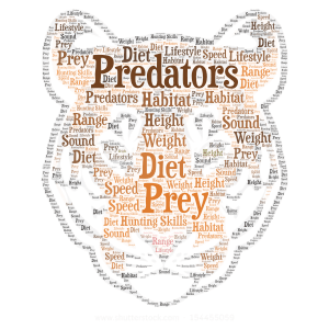 Tigers basketball (not real basketball place) word cloud art