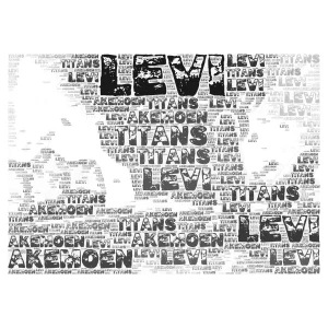 Levi caption Levi  word cloud art