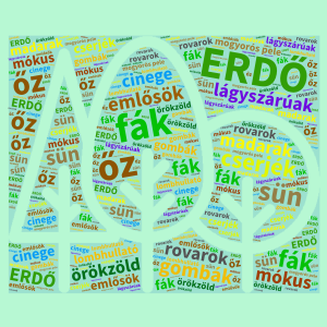 Erdő 2. osztály interaktív word cloud art