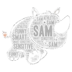 Sam word cloud art