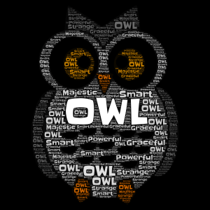What an owl is word cloud art