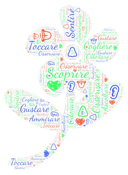 I 5 Sensi word cloud art