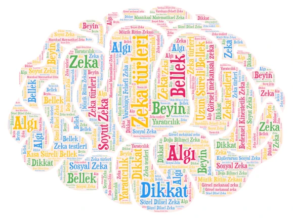Psikoloji Dersi - Zeka ve Bellek word cloud art