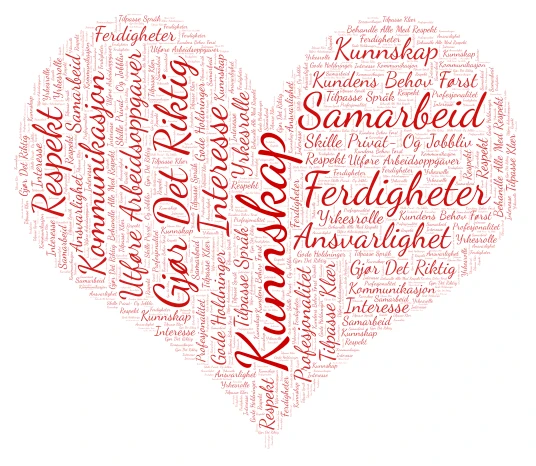 Kompetanse word cloud art