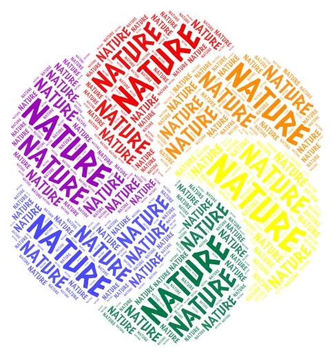 NATURE word cloud art