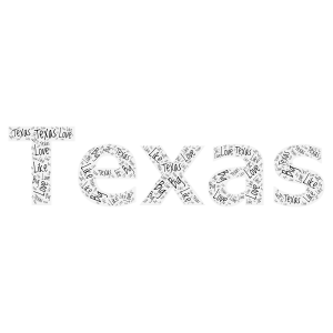 Texas word cloud art