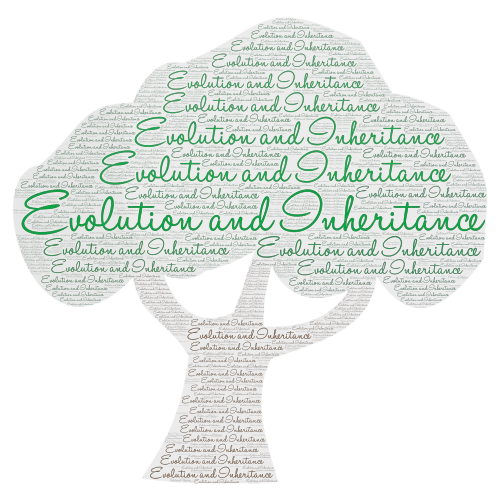 evolution word cloud art