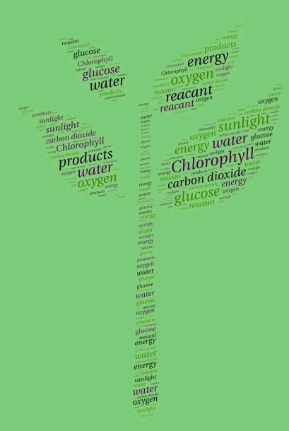 photosynthesis-Sophia Dunn word cloud art