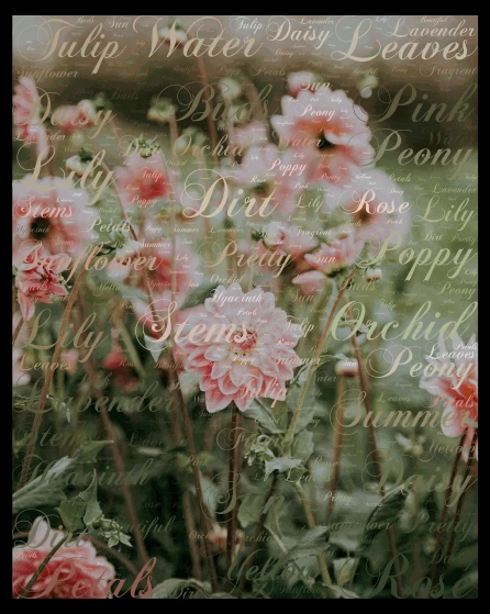Flowers word cloud art
