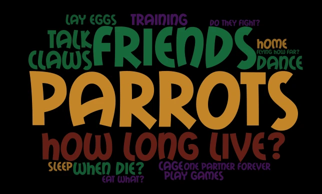 parrots word cloud art