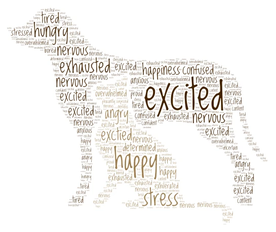 period 6 word cloud art