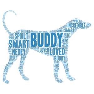 Buddypuppy word cloud art