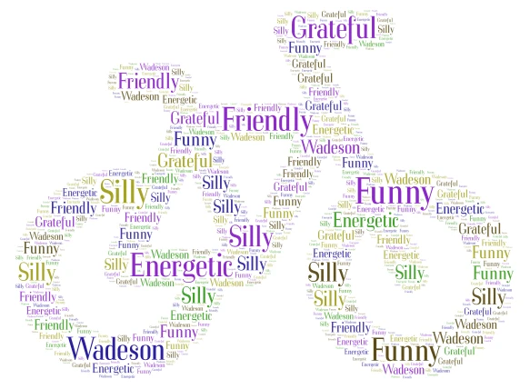Wadeson word cloud art