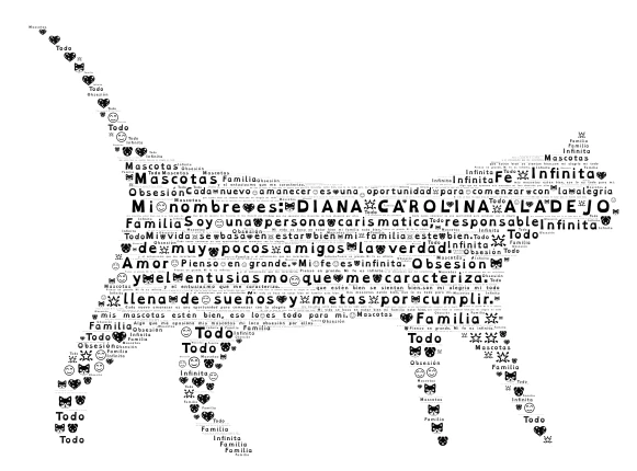 Mi Vida word cloud art