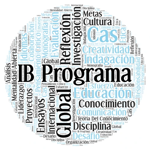 IB Program word cloud art
