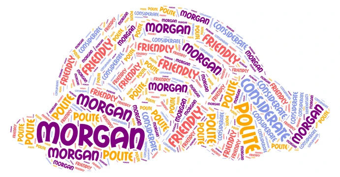 Morgan word cloud art