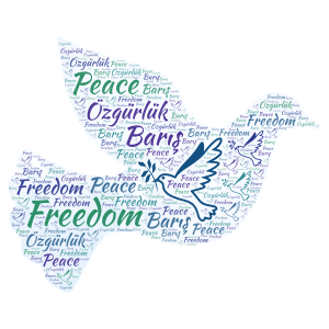 Freedom word cloud art