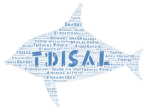 TDISAL word cloud art