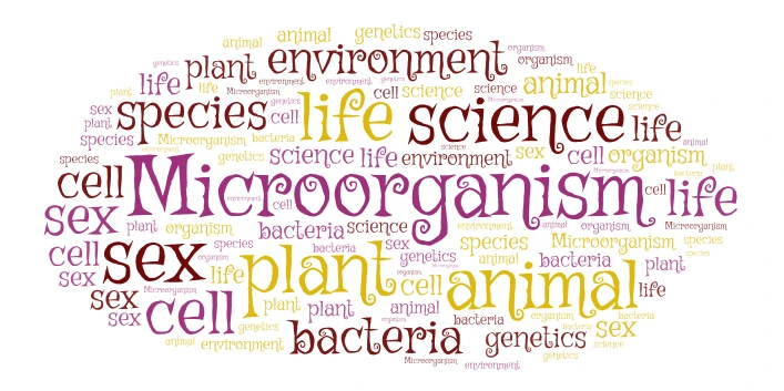 BIO WORDLE word cloud art
