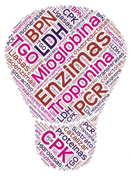 Nube de palabras perfil cardiaco word cloud art