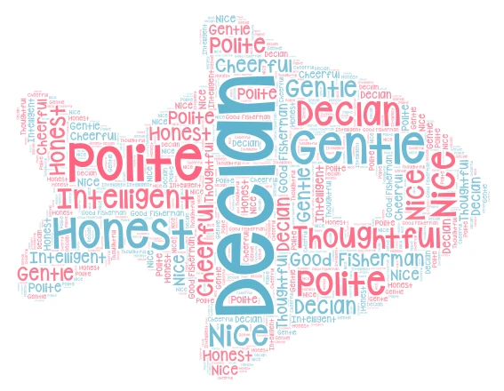 Declan Word Cloud word cloud art