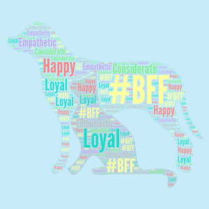 #BFF's word cloud art