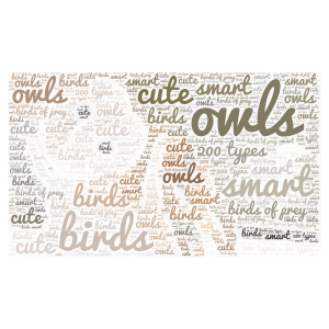 owls word cloud art