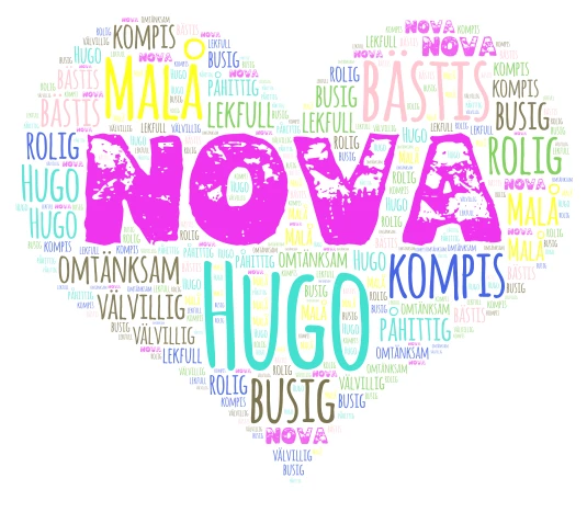 Nova word cloud art