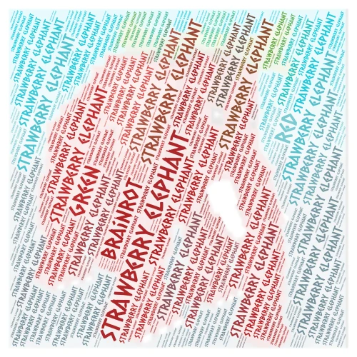 strawberry elephant word cloud art