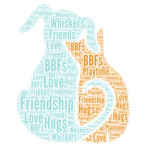 Cats And Dogs word cloud art